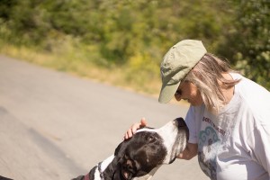 Petting a dog 