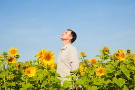 Man in sun flower field using the warmth of the sun as a relaxation technique