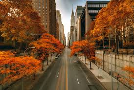 Fall in the city