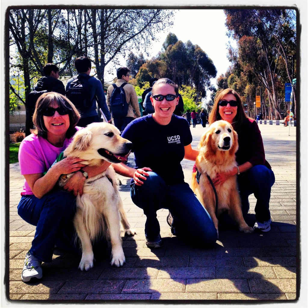Animal assisted therapy dogs at the University of California