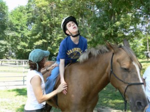 Animal Assisted therapy horse