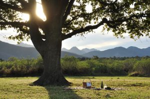 Picnic under an oak tree - art de vivre