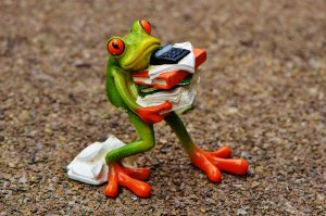 Frog with too much to do.