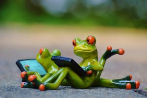 Frogs sharing the work load