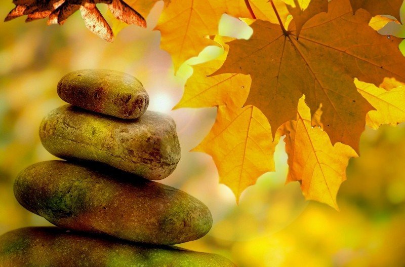 meditation-balance-rest-autumn-tree-trees-leaves