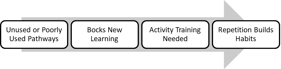 A diagram showing how the brain builds neuroplasticity