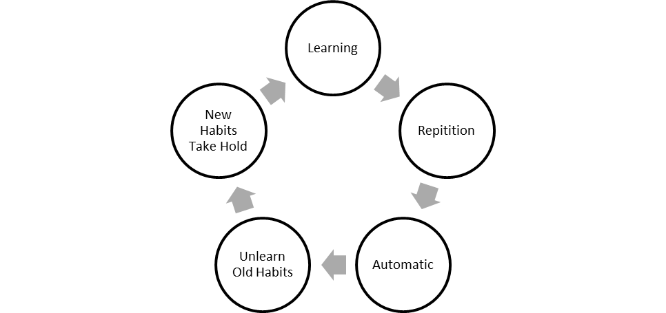 A diagram demonstrating how the brain learns new skills
